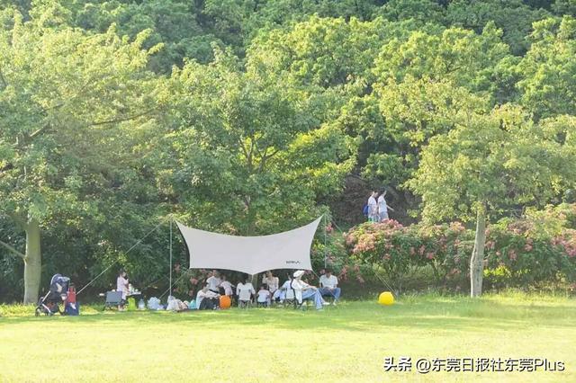 国庆中秋双节同庆，东莞主要自然公园迎客93.99万人次