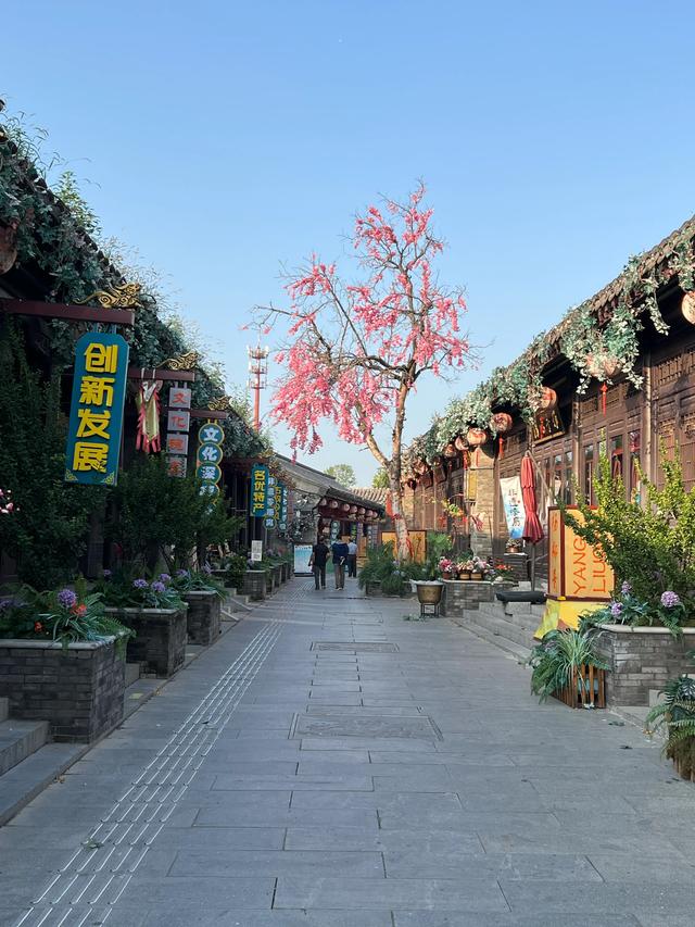 邂逅杨柳青