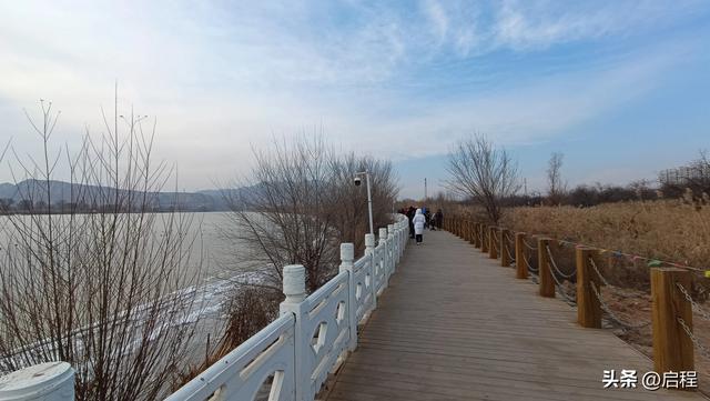 去三河口看天鹅