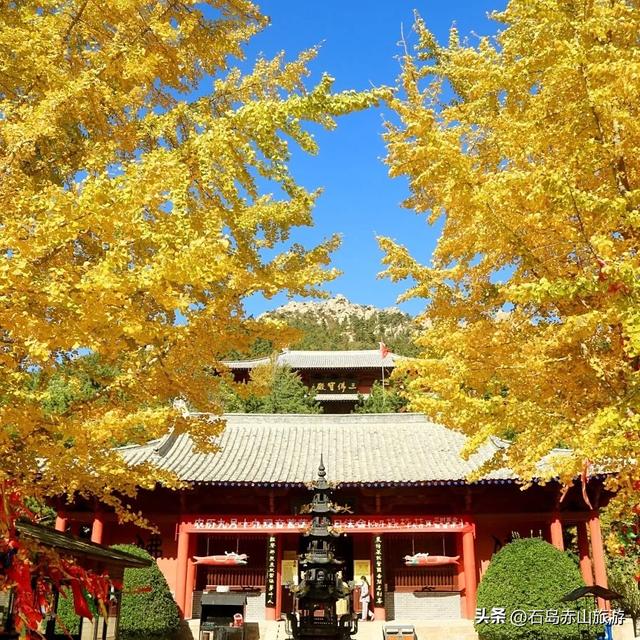 第九届赤山红叶节“红”了！这波必须冲！