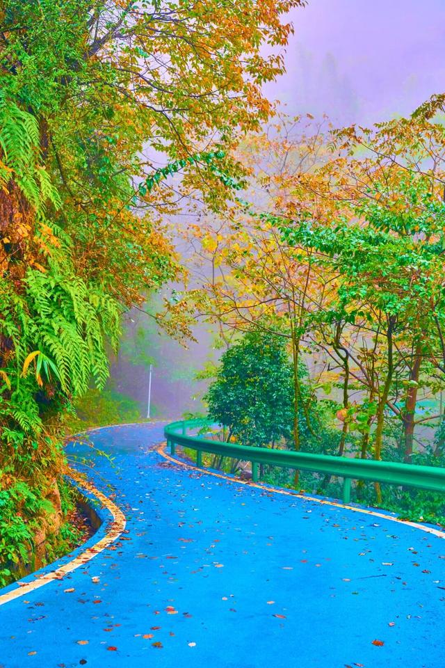 走，到屏山老君山赏秋去→