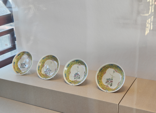 @肇庆市民！带你沉浸式逛馆！超多珍贵藏品、VR体验！