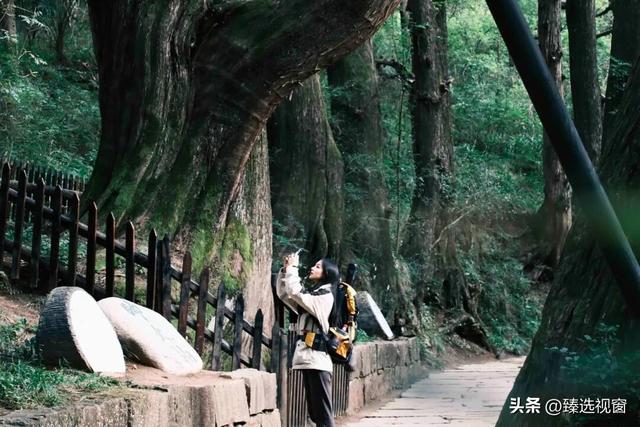 开工倦了？来剑阁，把生活调回松弛频道~