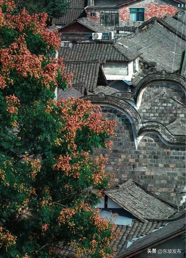 本周“寻爱地图”抢先看：在中岩邂逅初恋 于汉阳书写烟火