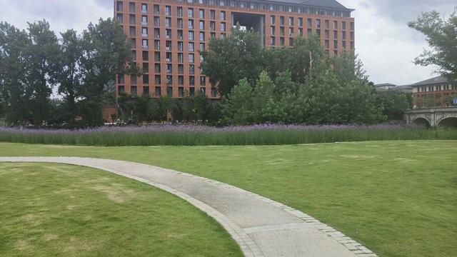 预约到了浙江大学,带女儿去了