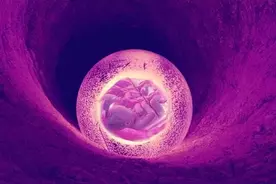 卵巢早衰，用桂圆加上它，煮水天天喝，怀孕比试管都快！图片