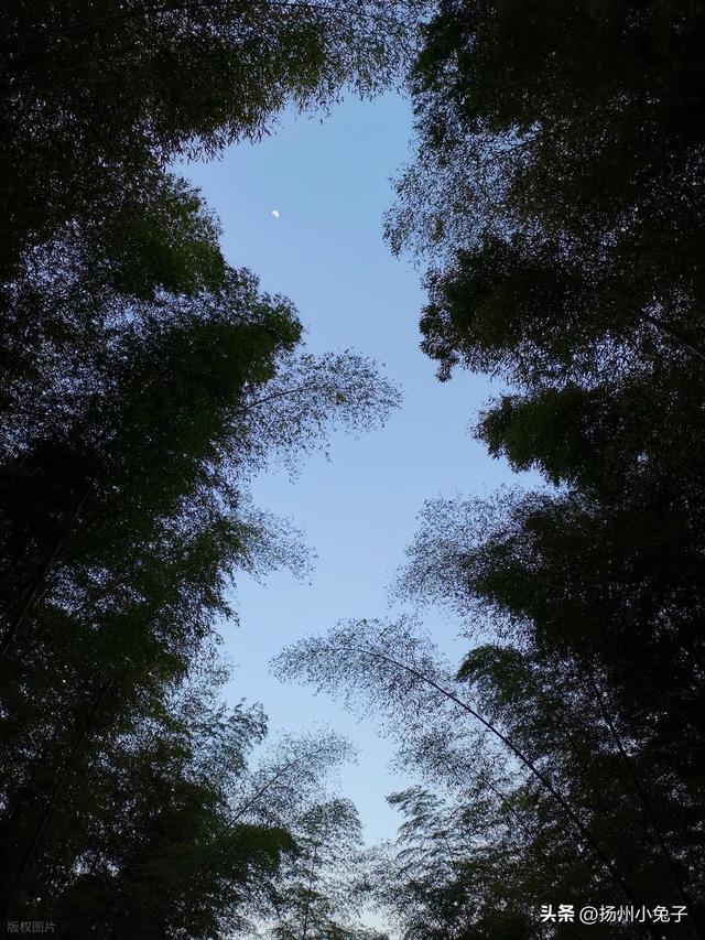 都愿意叫南山，这次是游玩天目湖夜南山