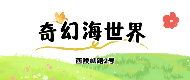 一社一景丨走进西镇社区，倾听从日出到星光的山海交响