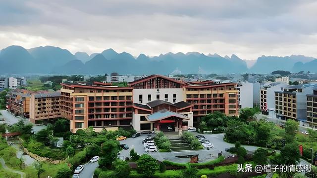 七十响礼炮震彻都安，千层岭间漫卷乡愁：七秩辉煌，你我共见