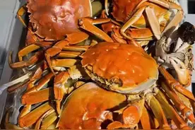 螃蟹蒸多长时间才熟？牢记3个时间点，不掉退，不流黄图片