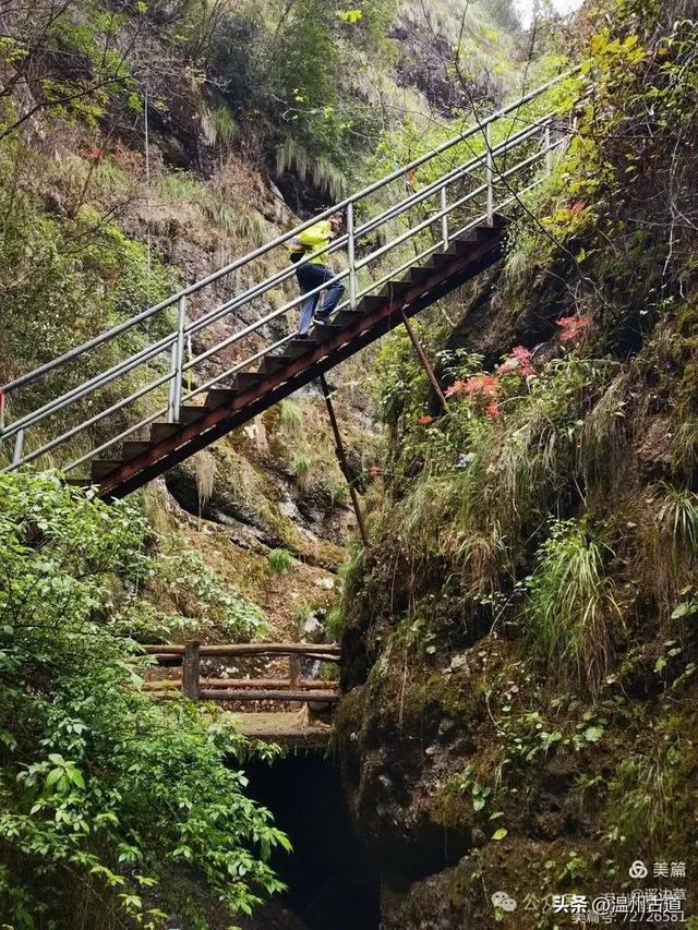 浙江这条风光奇绝适合新手小白的徒步线路，值得推荐！