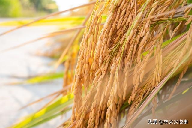 今日立秋，老人说最怕“立秋一日晴”，立秋天晴有啥预兆？