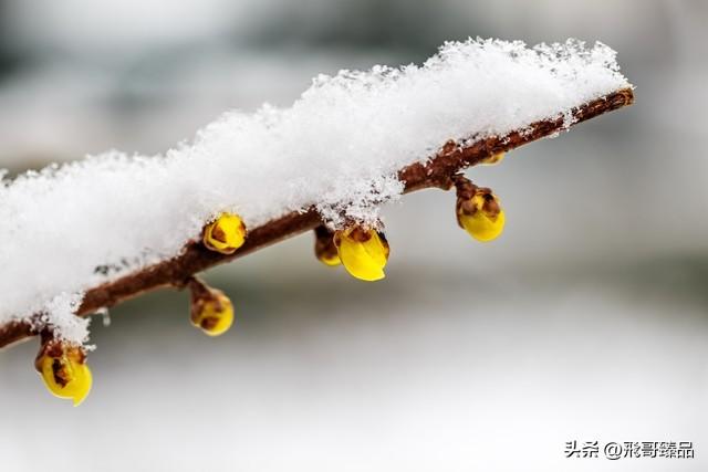 穷游，为何成为时代新宠