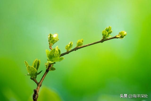 春和景明（今日成语）