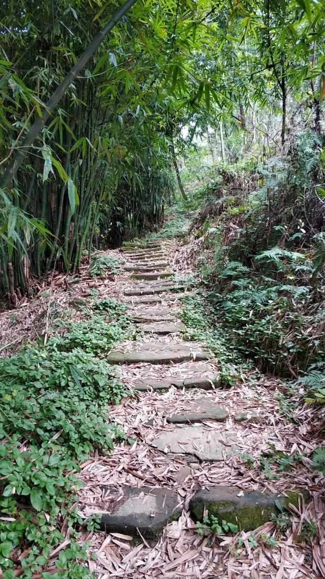重庆荒效野岭发现大量石碑，碑身高大雕工精美，每块都有百年历史