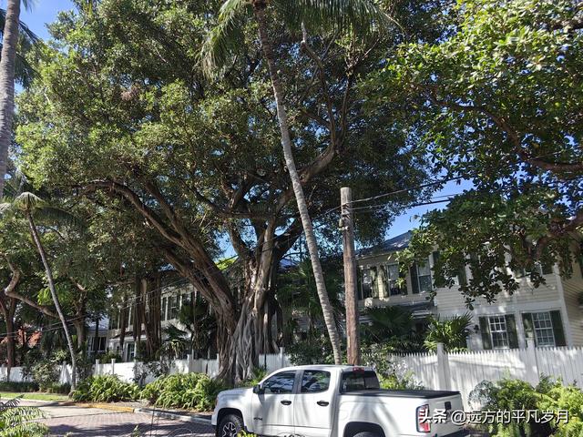 美国最南端的文艺小岛Key West(迈阿密游记四）