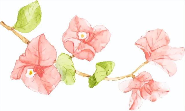 初冬“梅”好时光已至，惠城处处皆“花路”