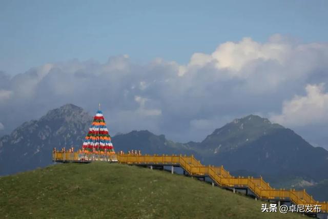 “卓耳不凡·因为有尼” 名特优商品展暨系列活动盛大启幕 点燃城市激情