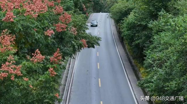 路美业兴！G318利川段70公里“美丽公路”焕新颜