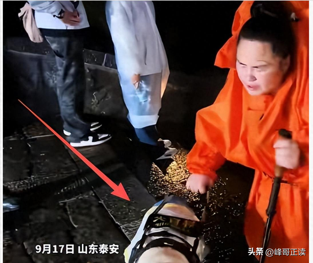 爬泰山的作死夫妻被制裁！导盲犬被收回，身份被扒，家里还有一只