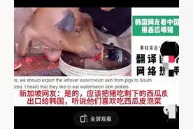 韩国人怒了！在中国猪吃西瓜，韩国网友：他们不知道西瓜皮能吃图片