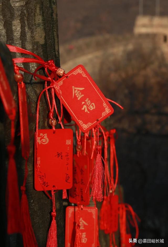 【元旦观日出】早鸟票重磅奉送 最大优惠200元！！！