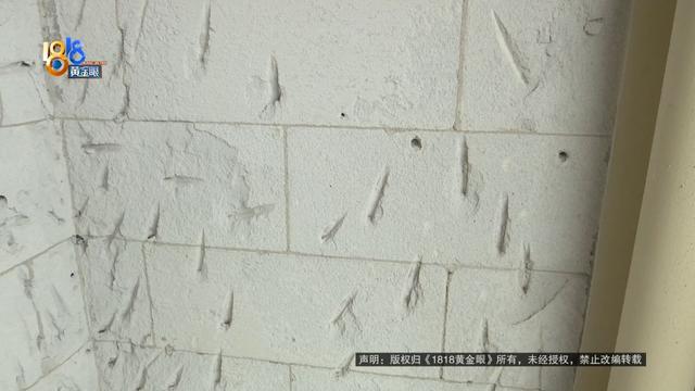 他挥动锤子，砸开了自家的墙！到底在找什么？