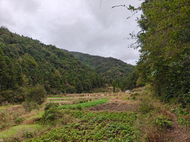 仙居县谷坦水库环线走，半山深处藏人家，依山傍水远繁华