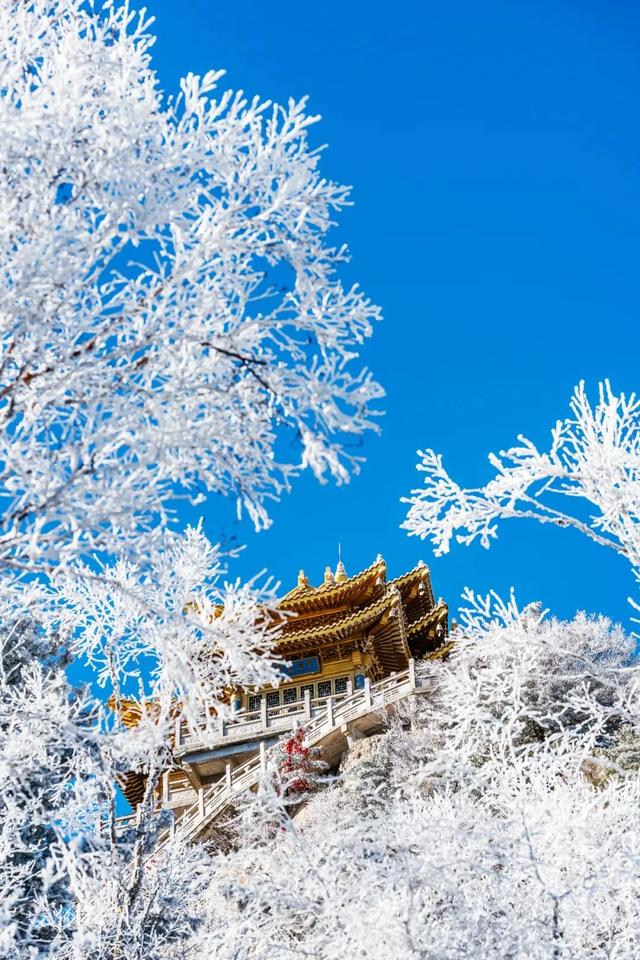 即将下雪!雪后的洛阳这么拍!8个超美打卡点...