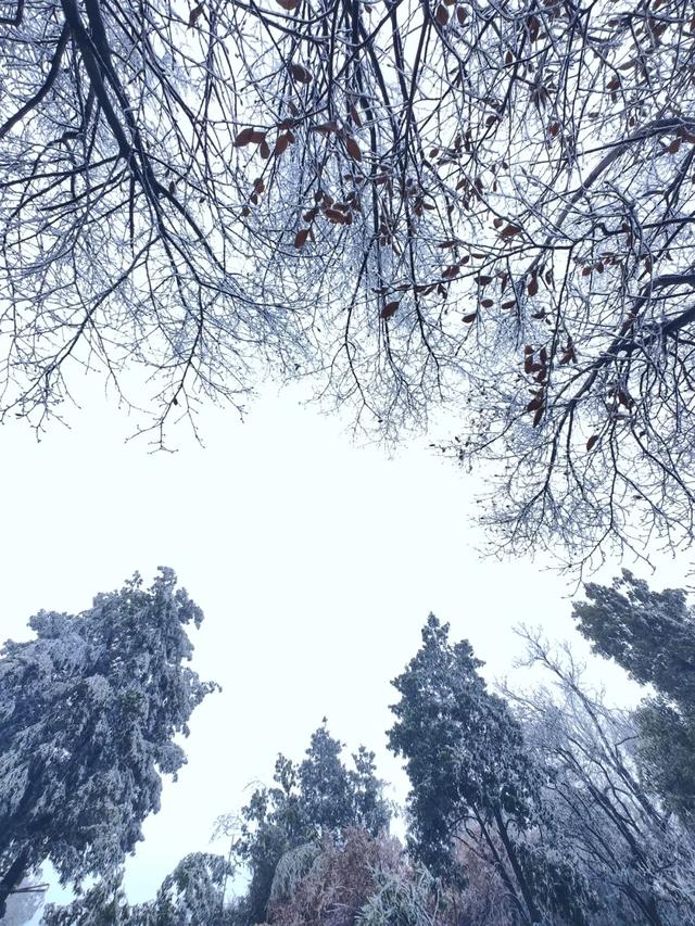 罕见一幕现身醴陵，即将消失！