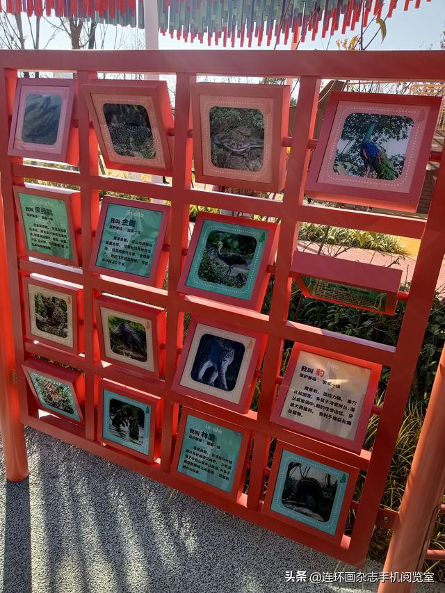 “幻花样”儿童游乐园（角落随拍）