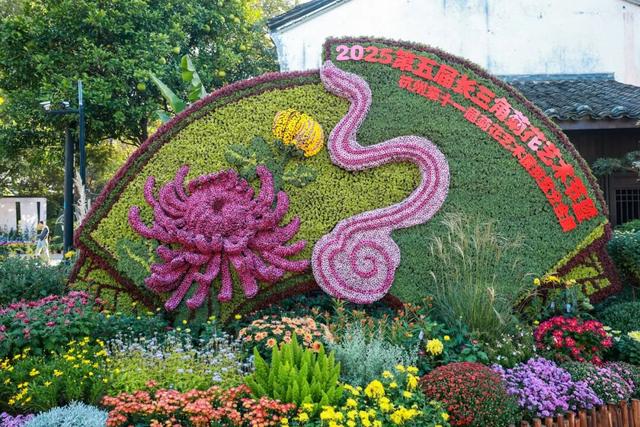 230种“秋韵”上线！拱墅这片花海藏不住了