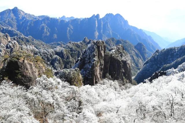 黄山初冬，打翻调色盘的绝美限定 | 皖美冬日