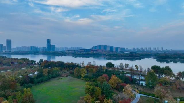 谁说初冬只有萧瑟？来太白湖新区解锁绚烂生机打卡地