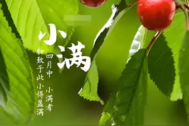 520好有意义！小满胜万全，遇见你才是刚好 圆 满图片