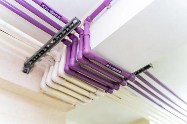 流行“色水”：紫！解说来了！