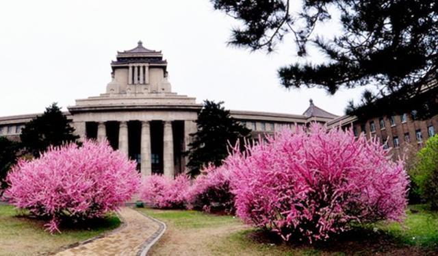 记忆长春丨新民大街忆旧