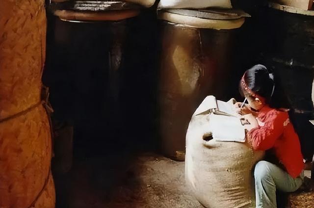 两度辍学考上北大，24岁葬于八宝山	，撒贝宁含泪致悼词，她是谁？