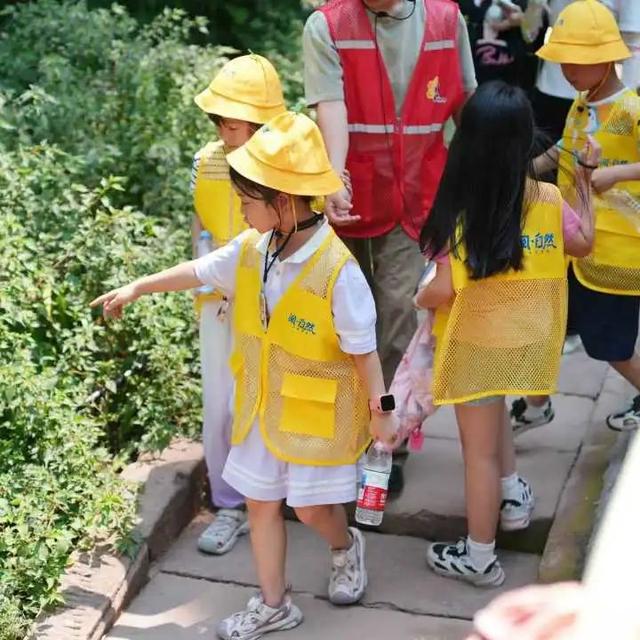 蜜蜂谷里探秘忙！“阅·自然”公益课堂开启自然研学之旅