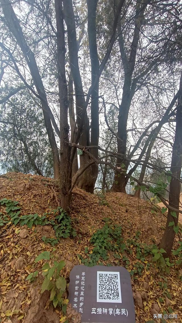 临潼区山村一游