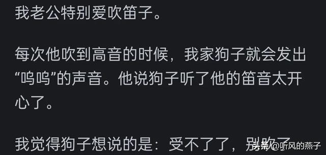 你是否有过把宠物逼的差点说话的时候？网友们的分享，惊呆了