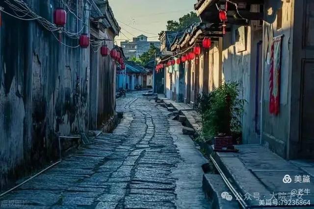 老牛｜我看到的潮洲景色