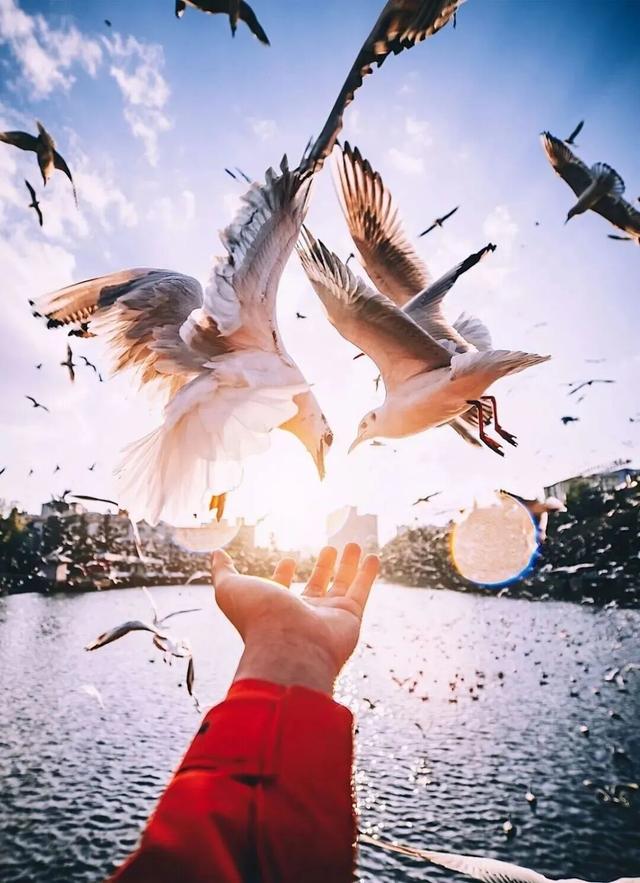 这个静谧小渔村，藏着彩虹桥、木栈道、老渔船、湖光鸥影……