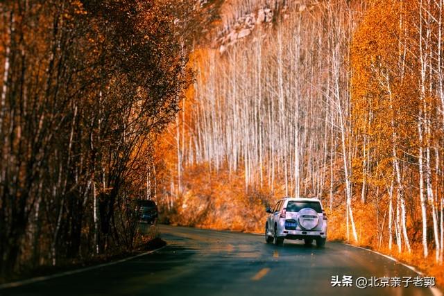 周末逃离人潮！京郊“小喀纳斯”喇叭沟门赏秋指南