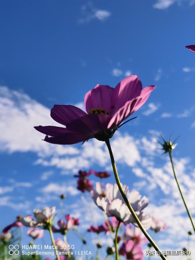 据我实际体验，冬天不宜自驾游