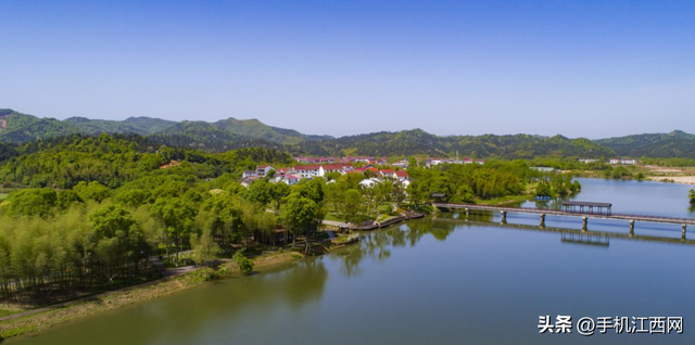 千年银杏“黄金雨”！江西这个小村私藏的初冬秘境，随手一拍就是大片！