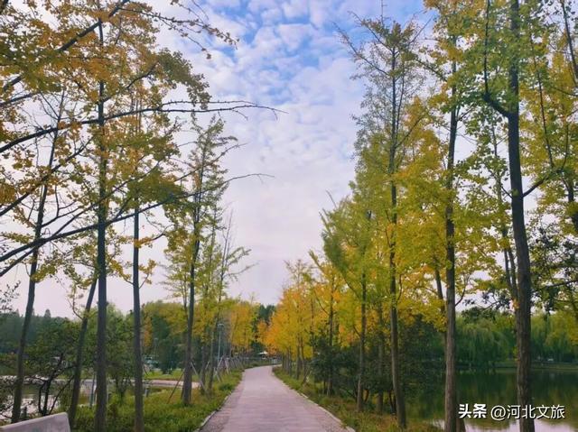 秋日，不去一趟石家庄植物园，会留遗憾