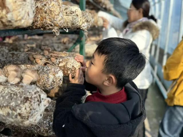 刚刚传来，颍东竟有这么多宝藏地？！今天，好多阜阳人都去了！直击现场......