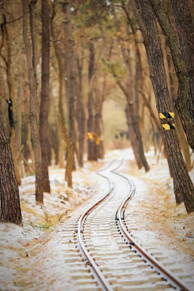 雪景大片！日照这些地方太好看了！