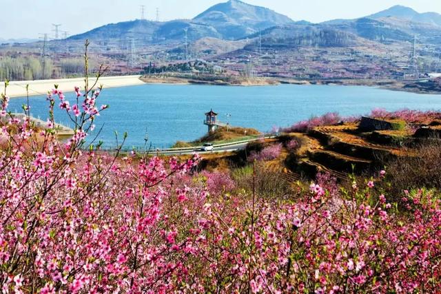 济南周边游|钢城区赏花地图上线啦，这三条旅游线路超有看头！